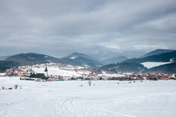 istock Vinter landscape - small village in Slovakia Tatra Mountain 648412054