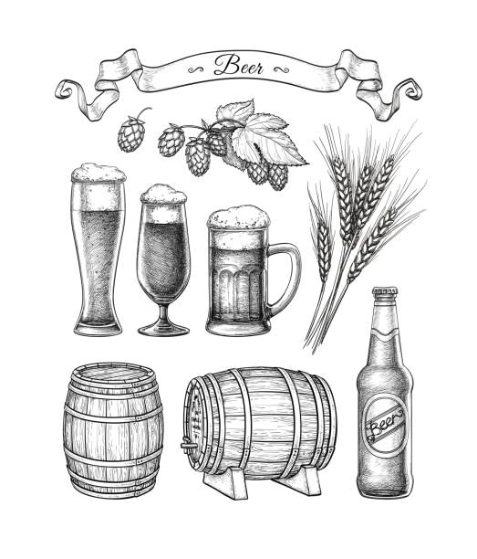 Big beer set. Beer set. Vector illustration of glasses and mug, hops, malt, barrels and bottle. Isolated on white background. hops crop illustrations stock illustrations