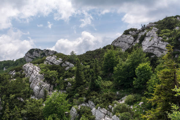 istock Folded layers rock formations in Risnjak, Croatian national park. 648419008