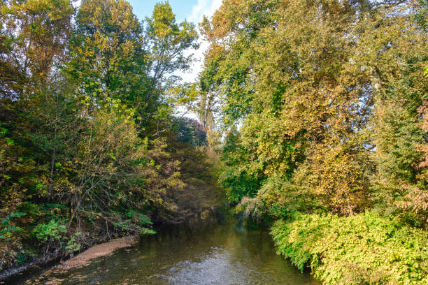 Monza (Brianza, Lombardy, Italy): the Lambro river in the park at fall (october)