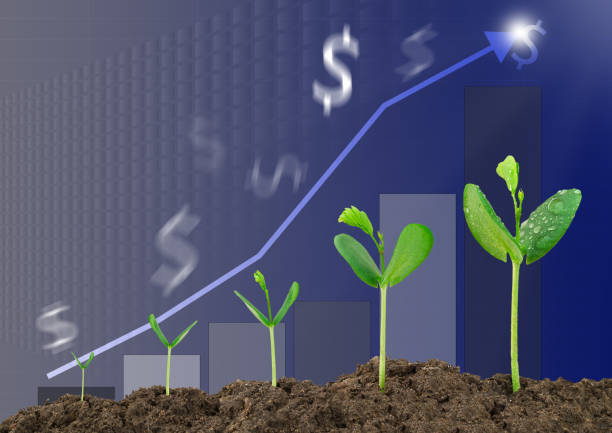 istock Growing sprouts, bar graph, blurred dollar sign background, business concept 648420884