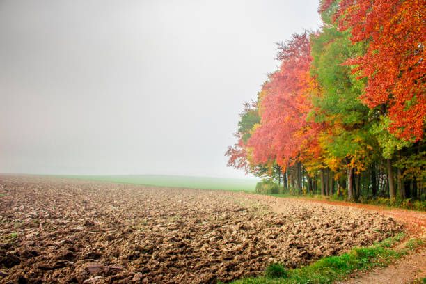 Autumn in the district