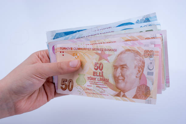 istock Hand holding Turksh Lira banknotes  in hand 648424194