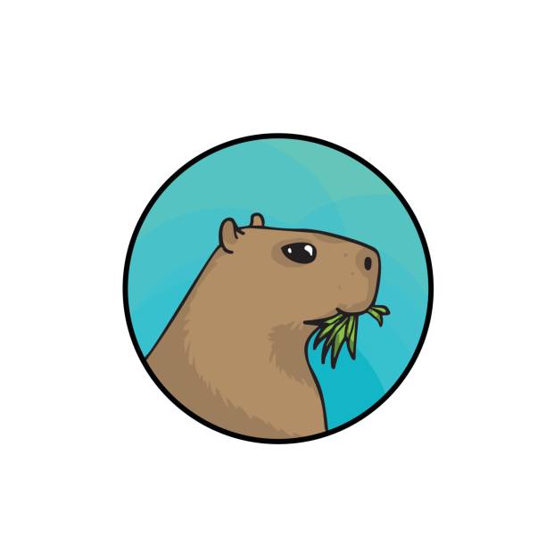 Animal hand drawn art, cute cartoon style Capybara, the largest rodent in the world. Animal art, cute cartoon style, vector hand drawn illustration. Suitable for pet shop or zoo ads, label design or animal food package element capybara stock illustrations