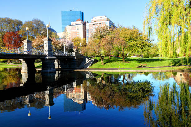 la primavera en boston  - boston common fotografías e imágenes de stock