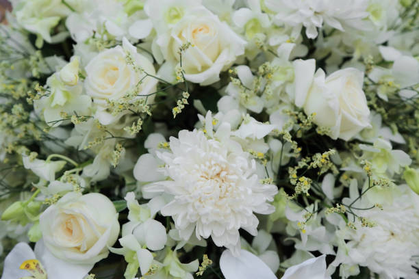 istock Sweet white flowers bouquet for background. 648434916
