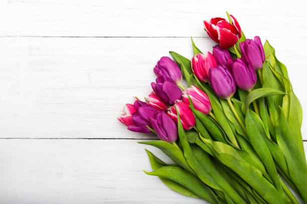 istock Tulip bouquet on white wooden background, copy space 648435784