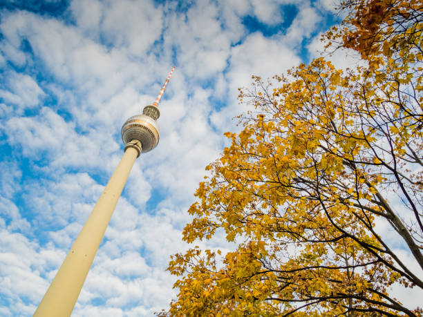 istock TV Tower in Berlin with autumn leaves 648446258
