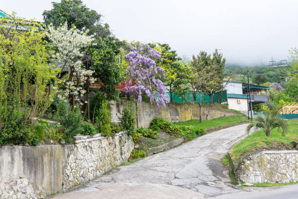 istock Flowering gardens in Abkhazia. 648448680