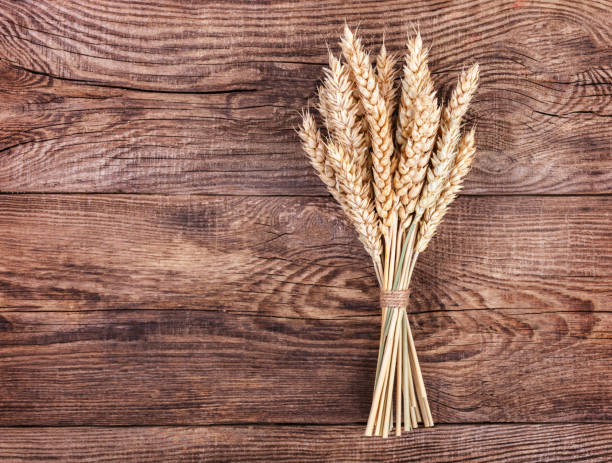 istock Ripe ears of wheat on old board 648452432