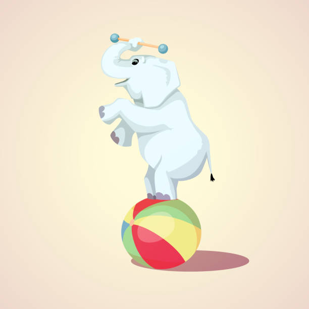 istock Happy cartoon Circus Elephant on the ball vector illustration 648457046