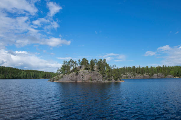 Aerial view of bay and forest, summer, Angermanland, Gulf of Bothnia