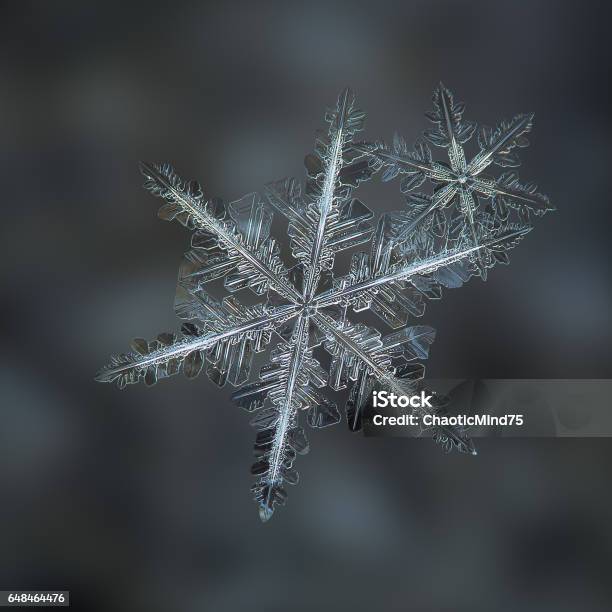 Two Snowflakes Glitters On Dark Blur Background Stock Photo - Download Image Now - Beauty, Blue, Built Structure
