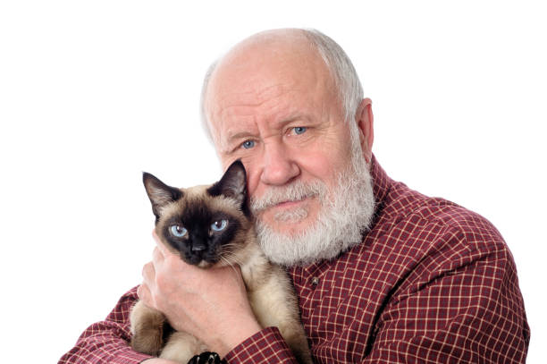 istock Cheerfull senior man with cat isolated on white 648470246