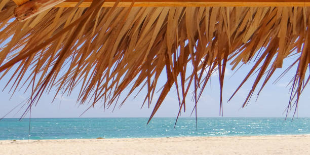 istock Resort beach in Egypt, on the coast. 648471330