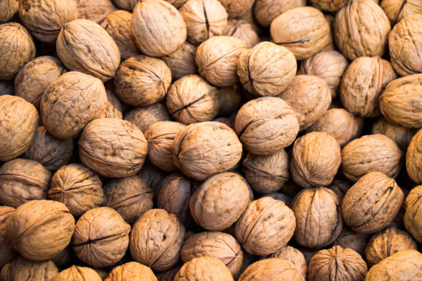 istock Pile of whole walnuts  with hard nutshells 648473832