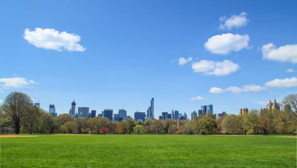 istock View of Central park at sunny spring day 648475126