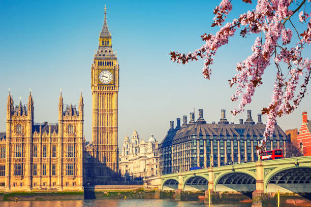 Big Ben in London at spring Big Ben and westminster bridge in London at spring city of westminster london photos stock pictures, royalty-free photos & images