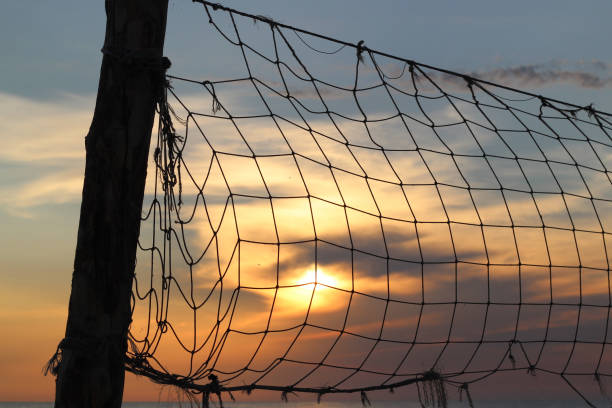istock Old net for beach volleyball on sea coast on sunrise 648499082