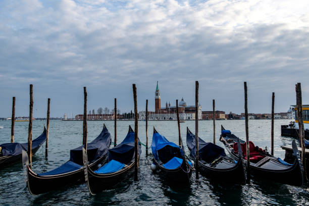 istock Docked gondolas in Saint Mark's Square, in Venice, Italy 648509946