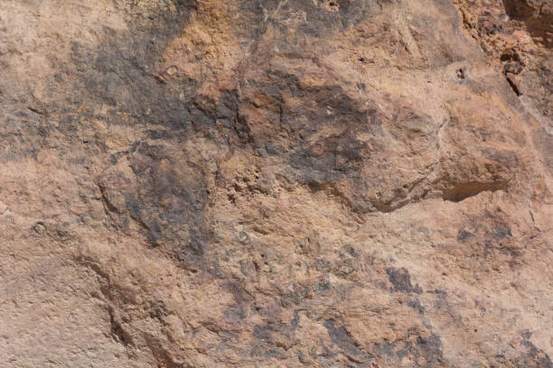 istock Textured surface of colorful rock 648514144