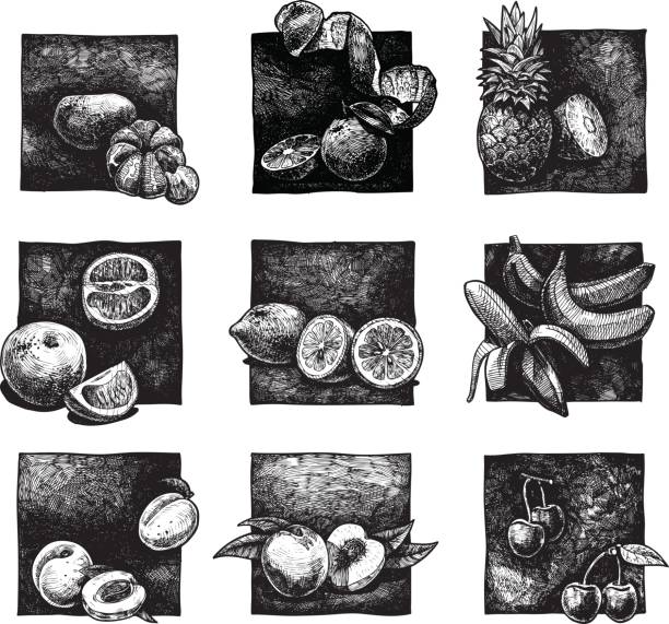 zestaw owoców cytrusowych i owoców - peach fruit portion orange stock illustrations