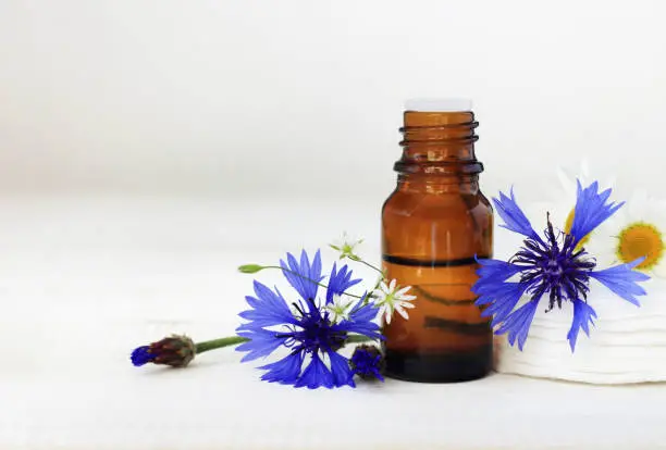 Photo of Cornflower botanical extract cosmetic benefits.
