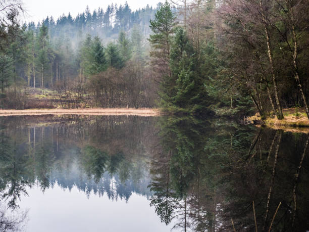 озеро в парке галлоуэй, шотландия - dumfries стоковые фото и изображения