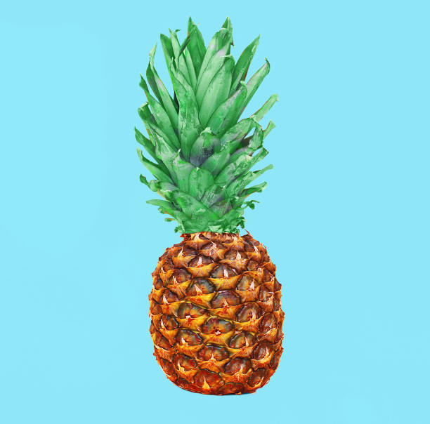 istock Pineapple fruit on colorful blue background, ananas photo 648521092