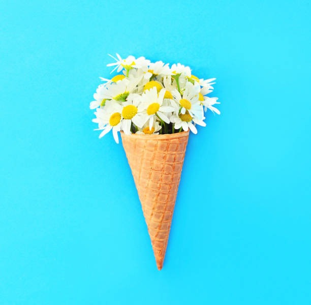 istock Ice cream cone with chamomiles flowers over blue colorful background top view 648521112