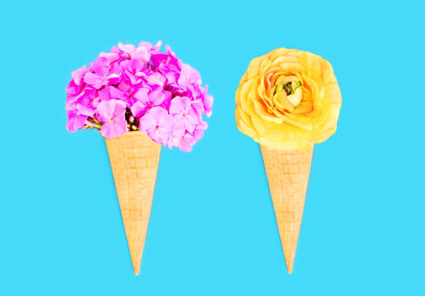 istock Two ice cream cone with flowers over blue colorful background top view 648521152