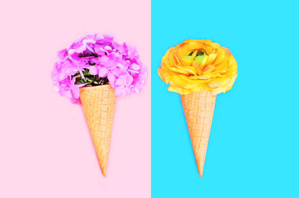 istock Two ice cream cone with flowers over colorful pink blue background top view 648521156