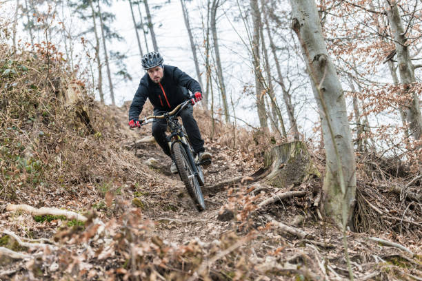 istock Mountain biker in the woods 648521232