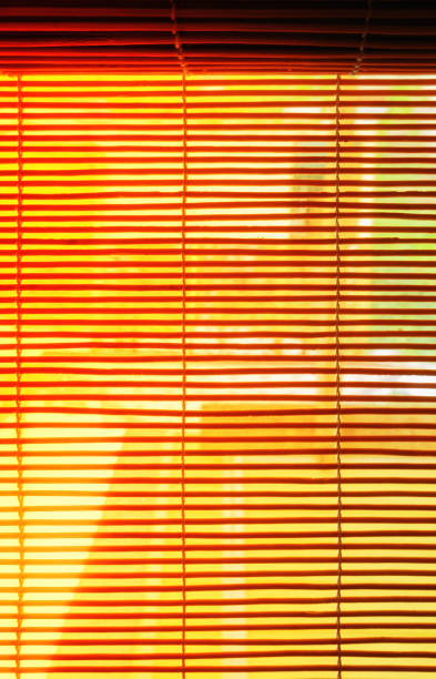 istock Wooden venetian blind shutter 648525158