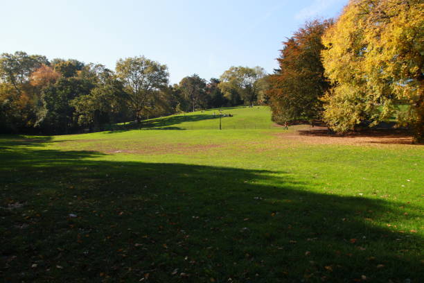 istock NEW YORK USA CENTRAL PARK 648532712