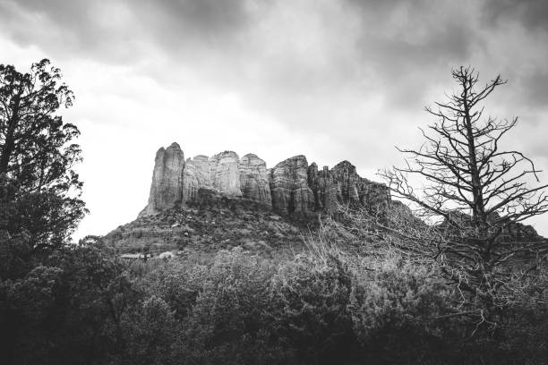 istock The Sedona Desert 648544092