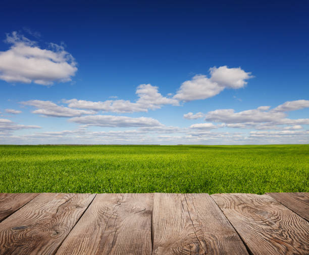 istock Sky and clouds with wooden board 648550870