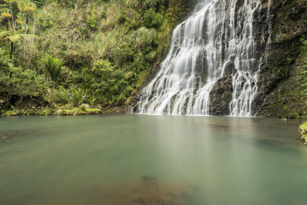 카레카레 폭포, 오클랜드, 뉴질랜드 - karekare falls 뉴스 사진 이미지