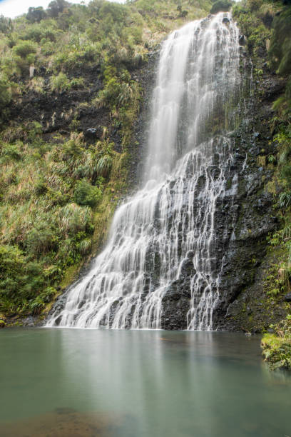 karekare falls,auckland,nova zelândia - karekare falls - fotografias e filmes do acervo