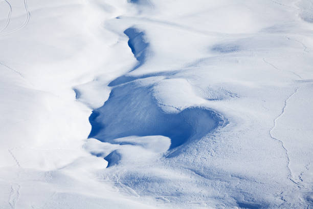 istock Winter mountains cowered with curving ski traces 648557920