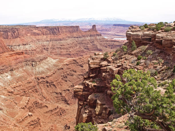 istock Dead Horse Point, Colorado river, Utah, USA. 648571498