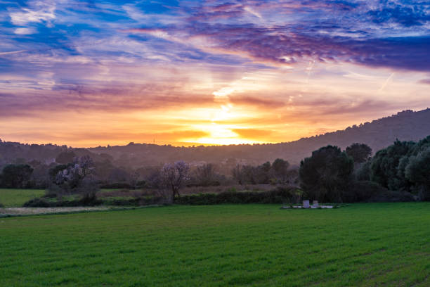 istock Sunset over beautiful majorca landscape 648581814