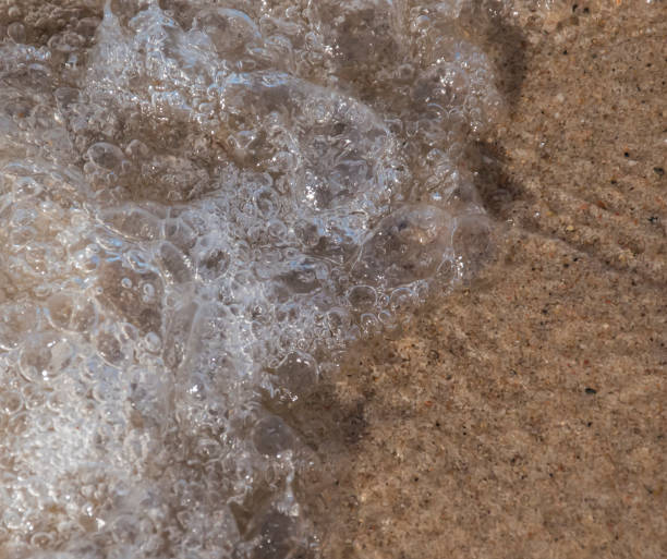 istock sea water closeup sand and wave background 648582666