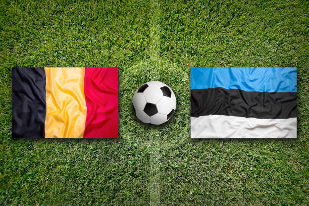 istock Belgium vs. Estonia flags on soccer field 648584954