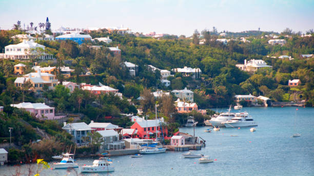 istock Homes  in Hog  Bay  in Hamilton, Bermuda 648591760
