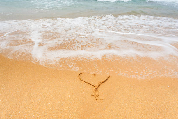 istock Beautiful landscape tropical  beach 648594750