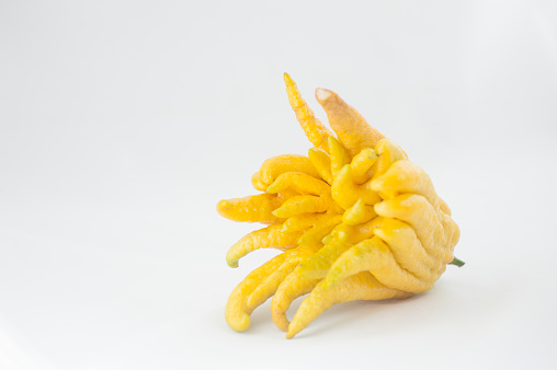 Buddha's Hand is an fingered citrus fruits.  It is usually bright yellow, waxy skin just like a lemon and has floral scent.