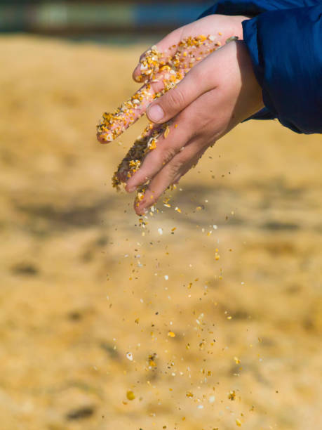 istock Sand is scattered from the child's hands 648615058
