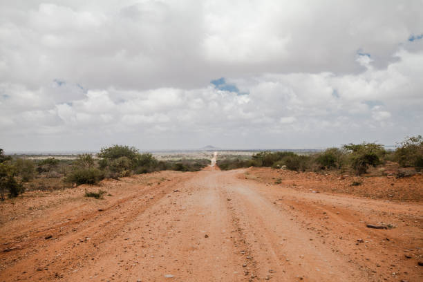 Panorama of a street in the Tsavo East National Park in Africa