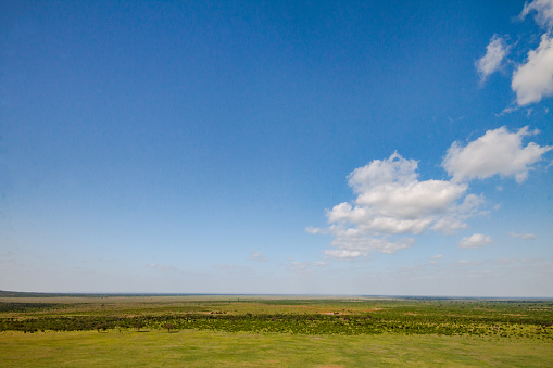 Panorama of the Tsavo East National Park in Africa